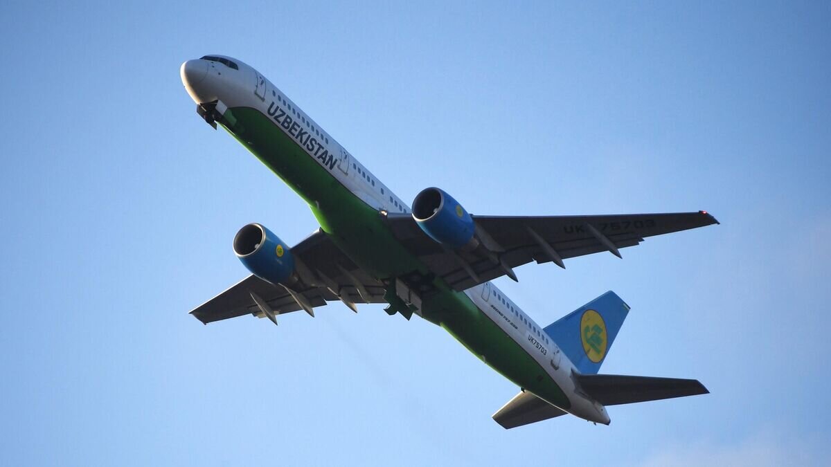    Самолет Boeing 757-231 авиакомпании "Uzbekistan Airways"© РИА Новости / Илья Питалев
