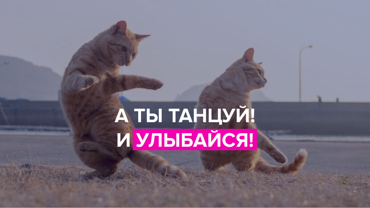 Танцы — одно из самых доступных нам удовольствий
