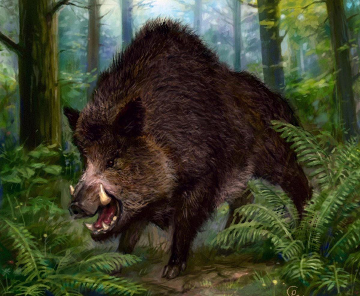 "Я СПОКОЕН!!!"