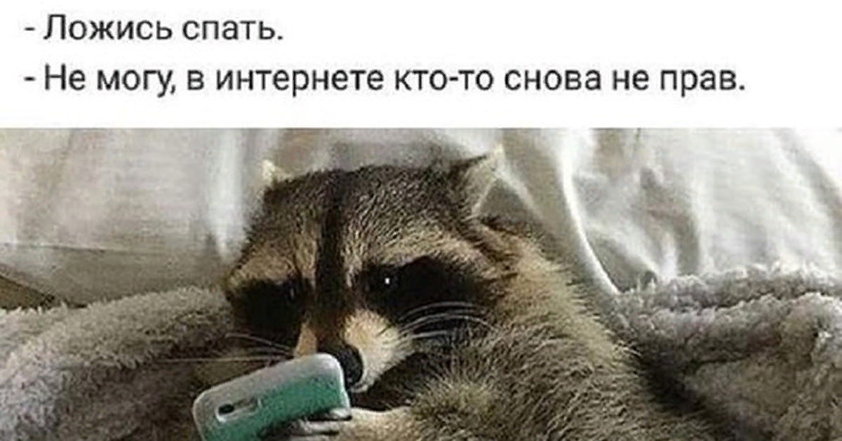 Мем-енот ещё доказывает, а мы уже нет