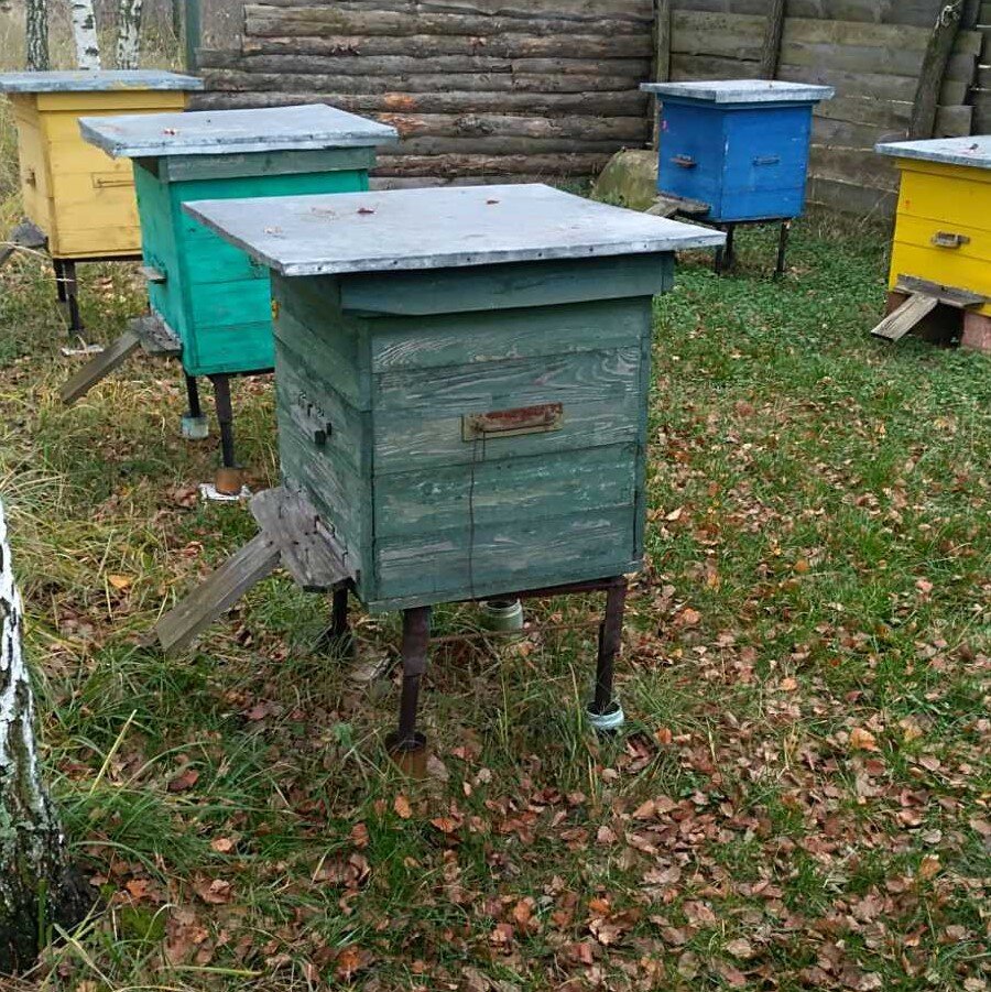 Осенняя пасека