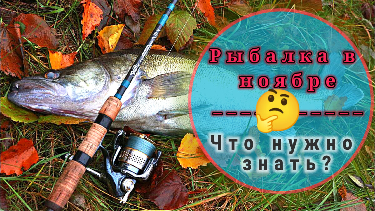 Рыбалка осень 