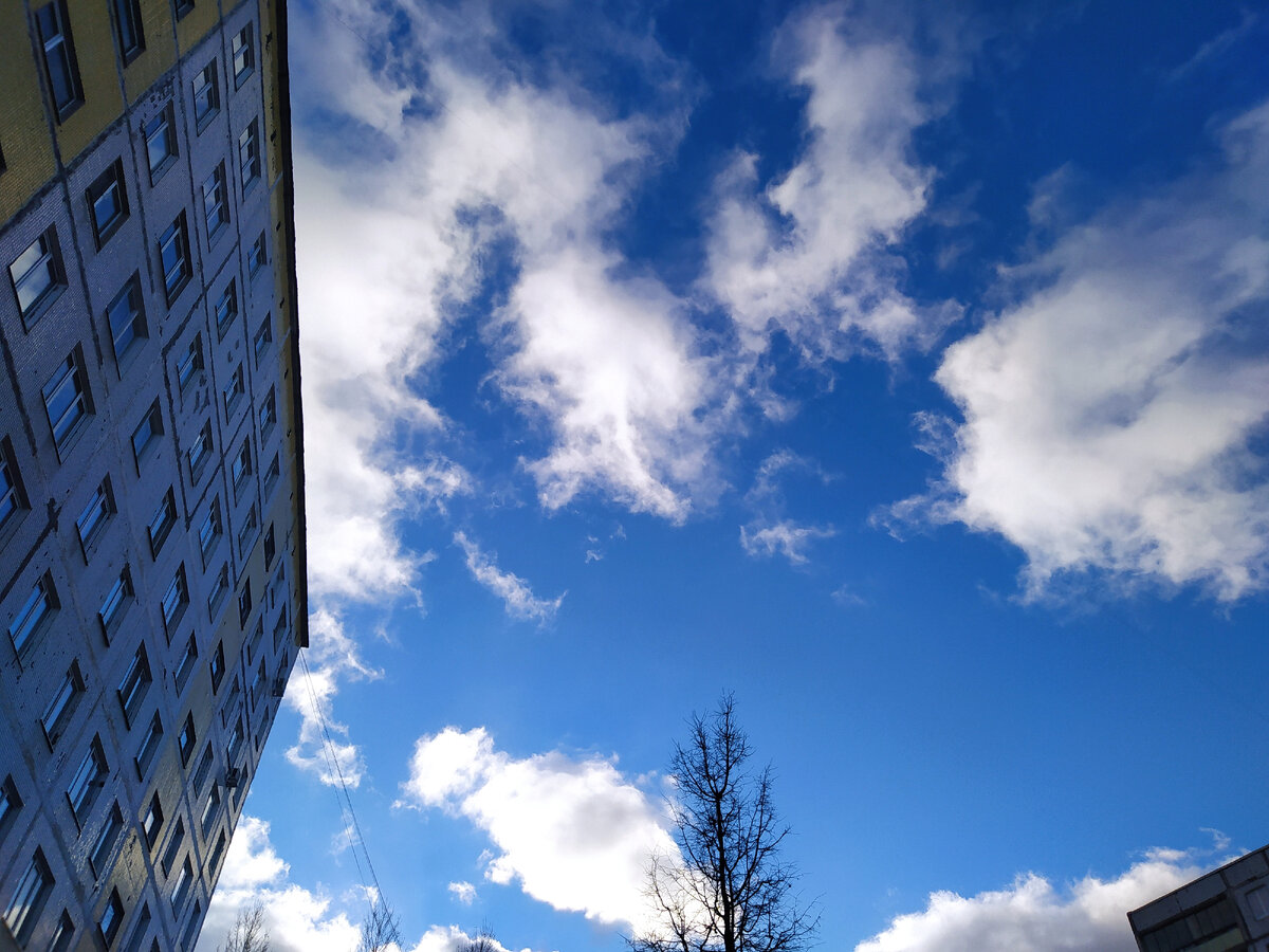Фотография автора. 