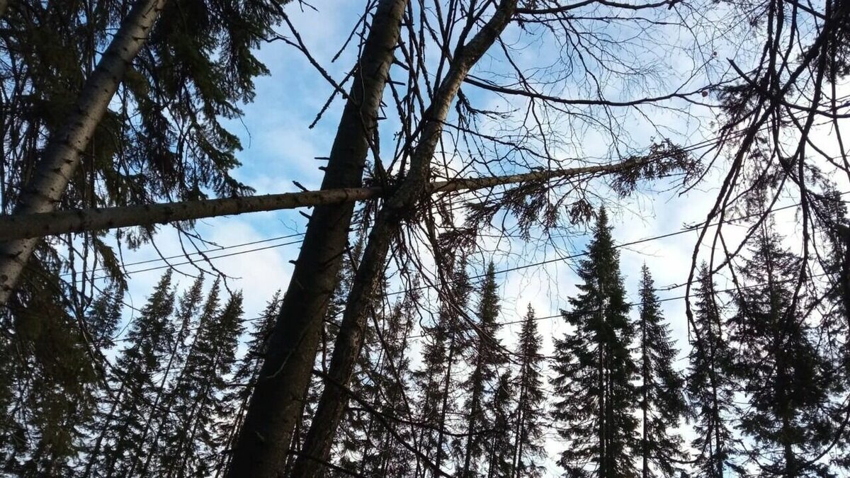     На месте работали спасательные службы. Информация об этом появилась в паблике администрации в соцсети «ВКонтакте».