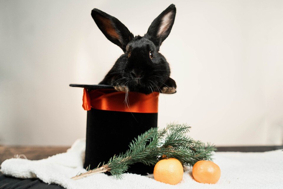     Астропрогноз для мужчин Мария Бакланова