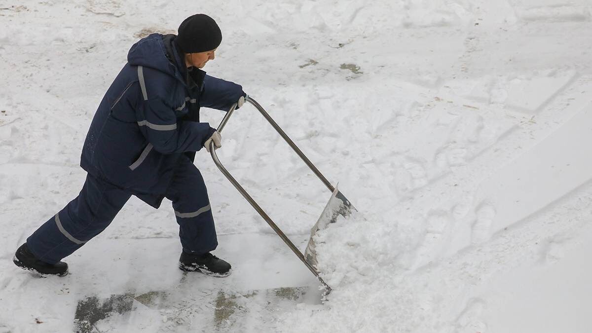    Фото: Софья Сандурская / АГН Москва