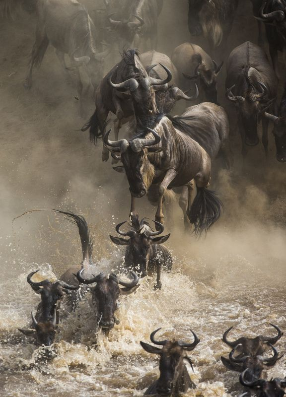 ����� ������� � ��������� ������ �������.