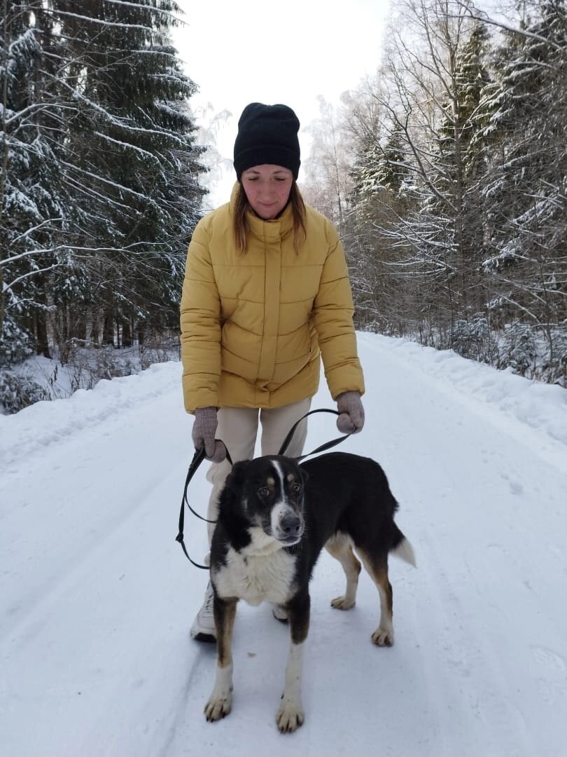 Фото Можайского приюта