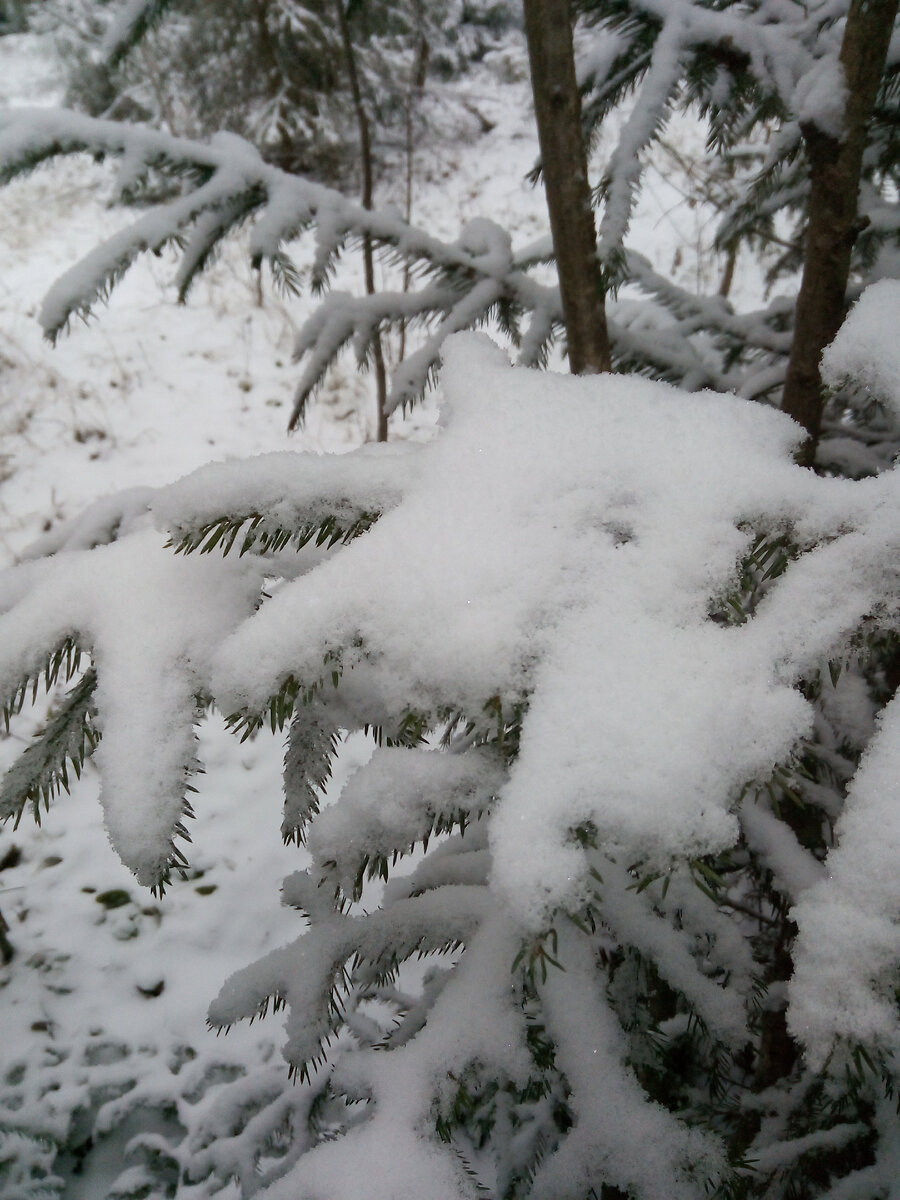 Личное фото.