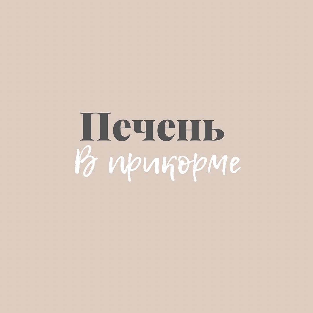 Печень в прикорме или когда можем начинать кушать печень | Клинова Света.  Записки для мамы | Дзен