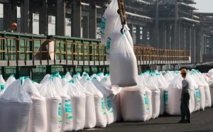    фото: tetrachem.ru Лаура Акопян