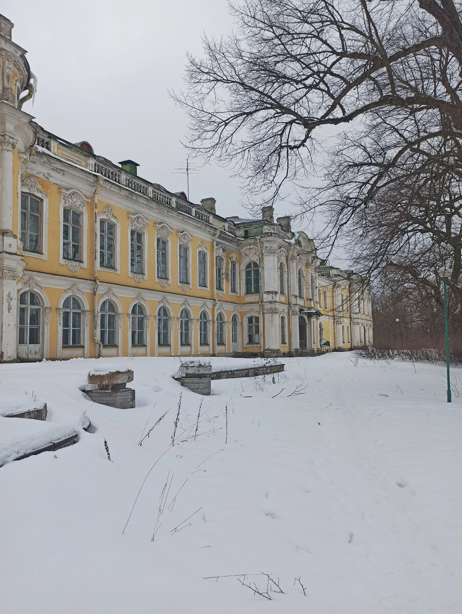 Автор фото: Надежда Савинова