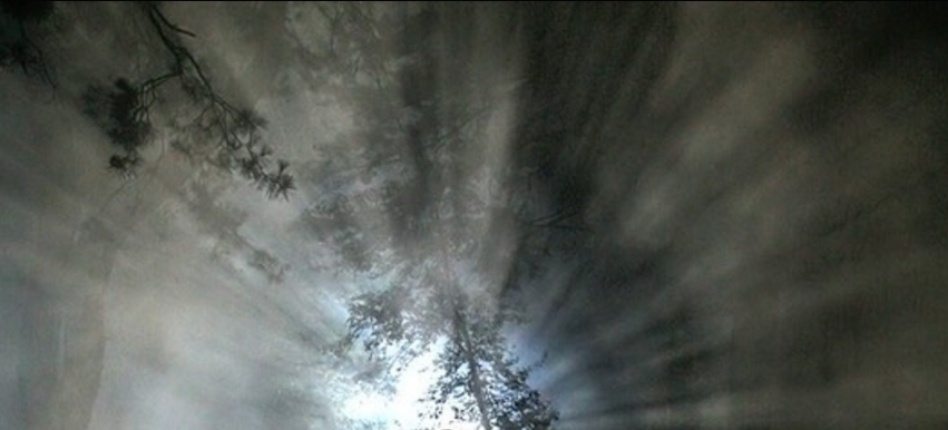 картинка взята из интернета. автор не указан.