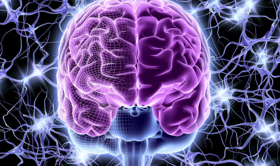Нейроинтерфейс: посредник между мозгом и компьютером
