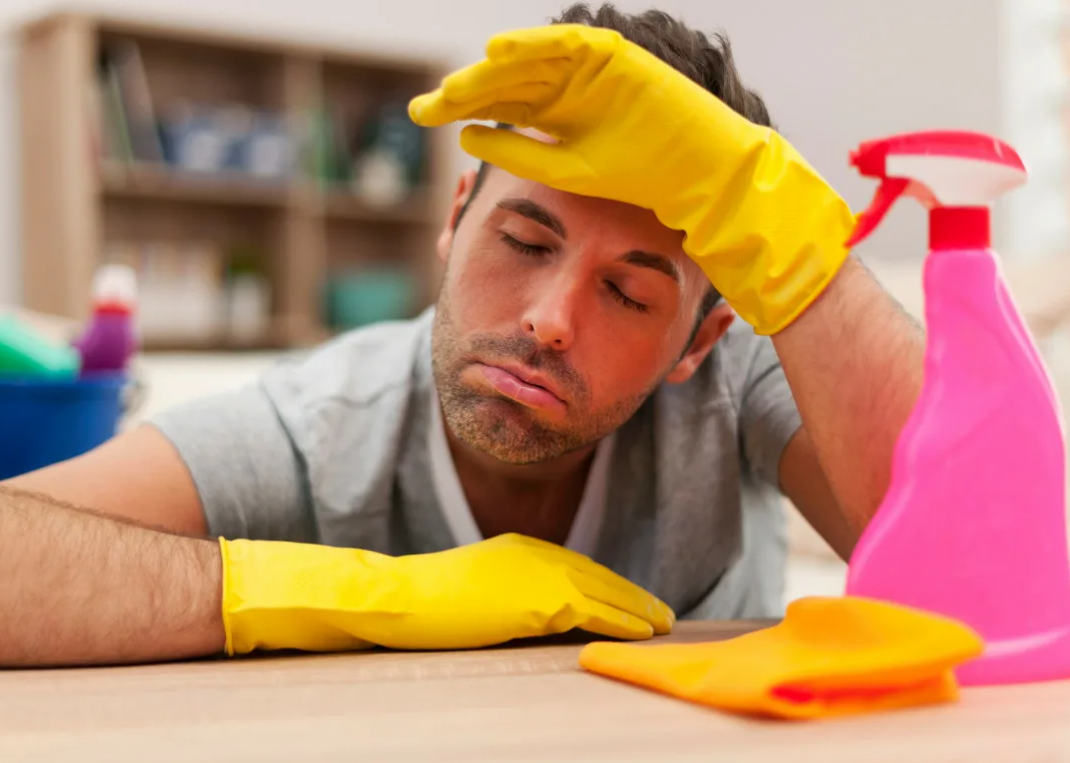 Что лучше мамонт или чистота дома?