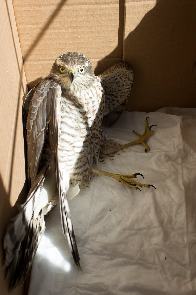 Кто все эти люди? Фото автора