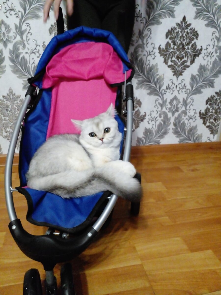 Личное фото автора 