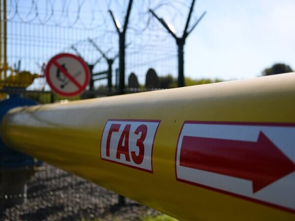   © РИА Новости Максим Богодвид