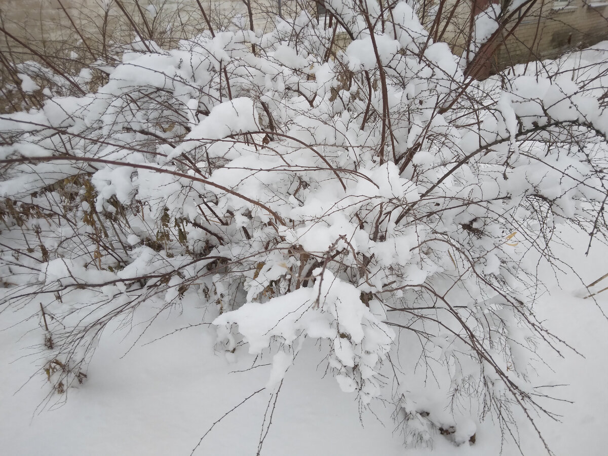 Фото автора Ирины Одарчук