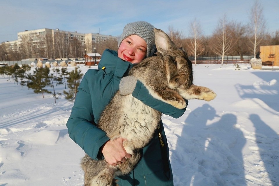     Делать такие кадры с кроликами могут только хозяева. Олег УКЛАДОВ