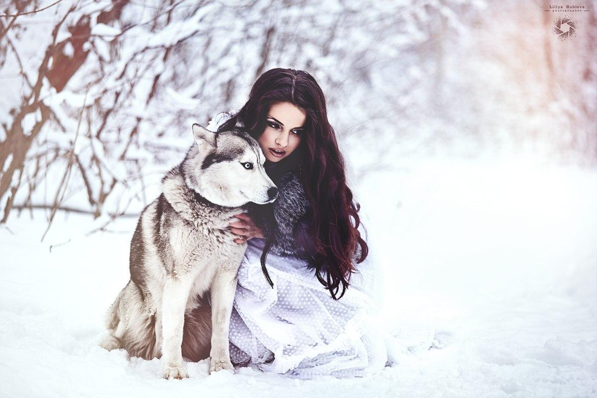 Девушка ставят лайки. Фотосессия с собакой зимой. Фотосессия девушка с собакой. Фотосессия с хаски зимой. Зимняя фотосессия с хаски.