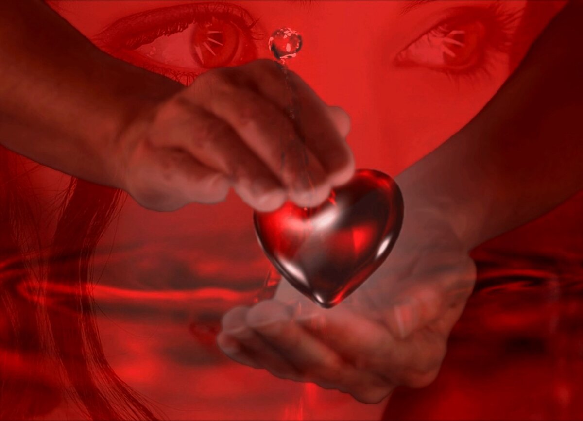 Фото из открытых ресурсов интернета