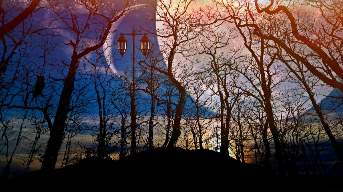 Фото: pxhere.com