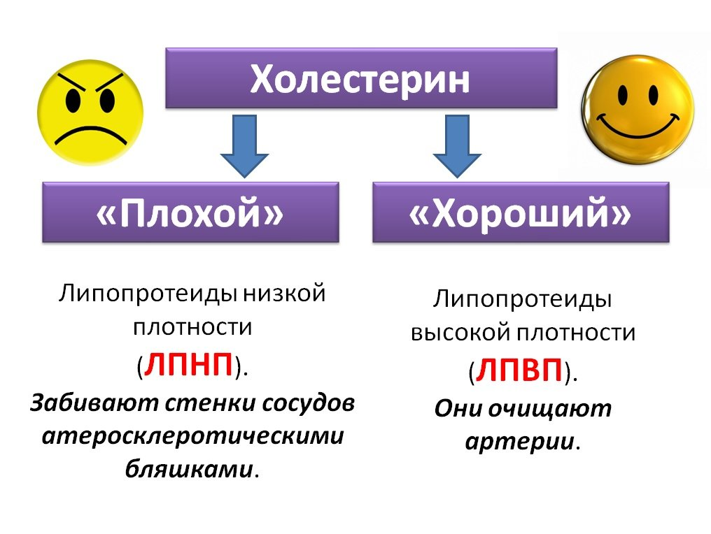 Что такое лпнп в биохимическом - Telegraph