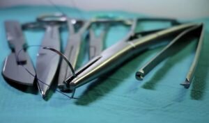    Фото: pixabay.com Маргарита Пименова