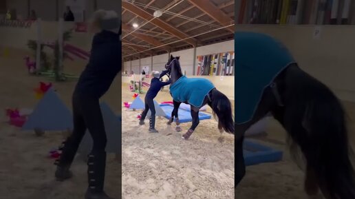 Reaction on horse. реакция лошади на выстрел. Fake лошадь. лошадь быстро бежит вдоль океана с наездником. реакция коня на голос хозяина.