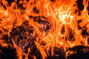    Фото: pxhere.com Наталья Усова