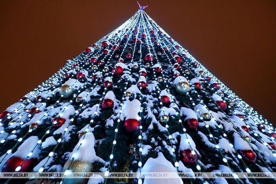     Елка на Октябрьской площади в Минске. Фото: БелТА