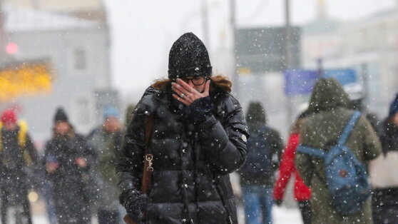    Небольшой снег и до минус 3°C ждут москвичей 30 января Анна Белая