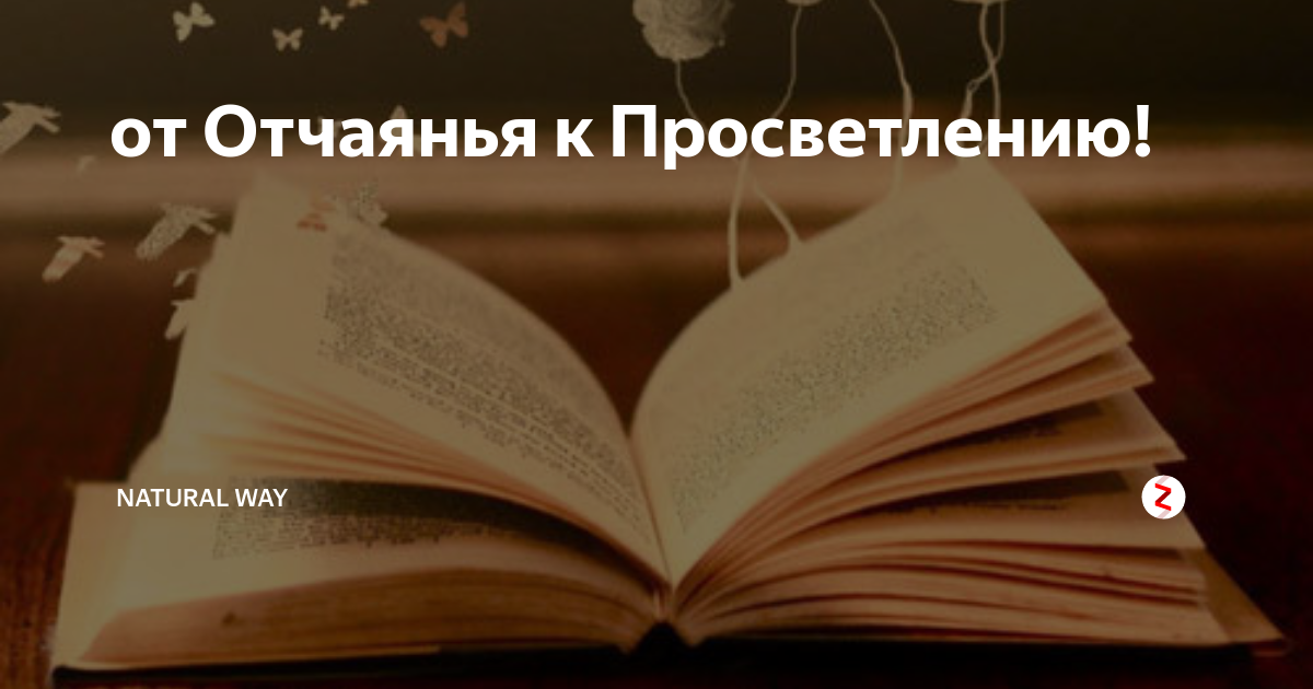 от Отчаянья к Просветлению! | Natural Way | Дзен