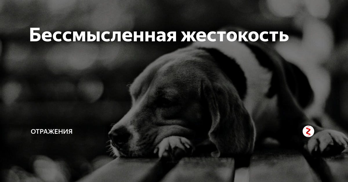 Сознание сюрреализм. Бессмысленная жестокость. Бессмысленная жестокость. Я тебе сказал неправду мем. Искаженное сознание.