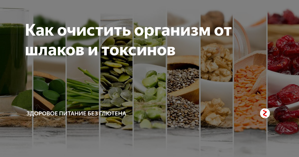 Чистка организма от шлаков и токсинов схема