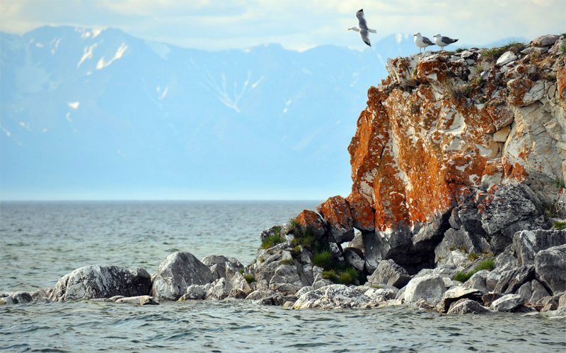 Баргузинский заповедник лето