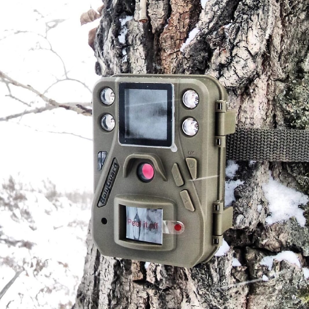 Что такое фотоловушка в биологии. Фотоловушка Seelock s378. Фотоловушка Ucon. Лесные камеры фотоловушки. Фотоловушка для охоты Remington.