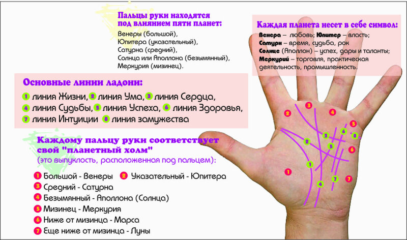 Хиромантия: читаем характер по линиям на руке | theGirl