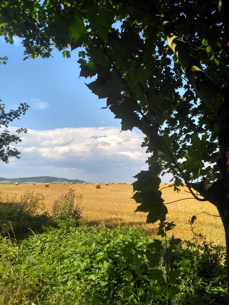 Окружающими видами лучше наслаждаться вдали от автомобильного трафика