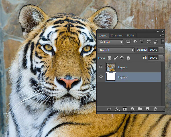 Эффект рисунка карандашом в Adobe Photoshop