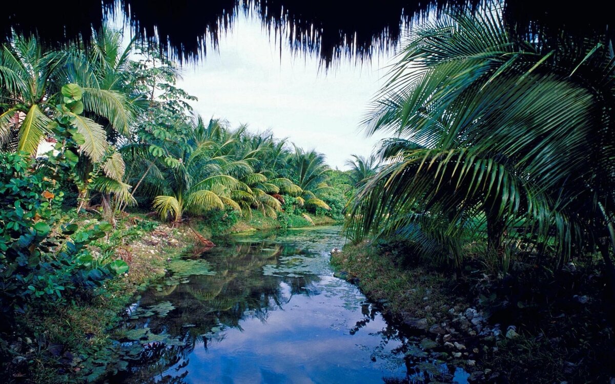 Мексика,Тропики,Природа,Красота