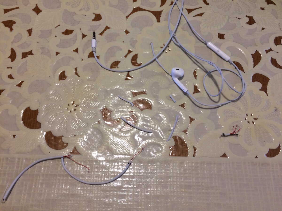 Кот был разгневан