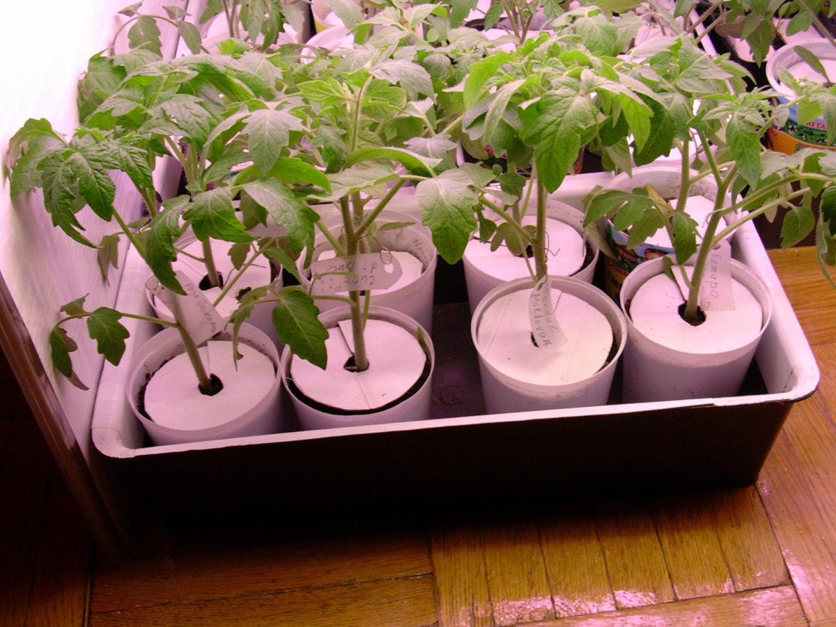 Пример, когда "огород" располагается на полу