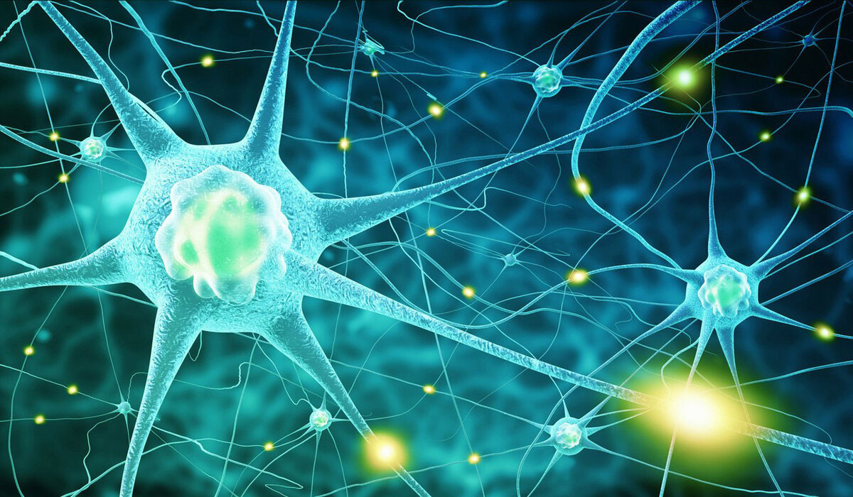Нейротрансмиттеры - химические вещества, перекрёстные синапсы транспорта импульсов к нейрону, железистой или мышечной клетке.