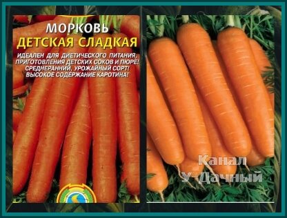 Лучшие сорта моркови (которые я сажаю) или покупаем семена правильно