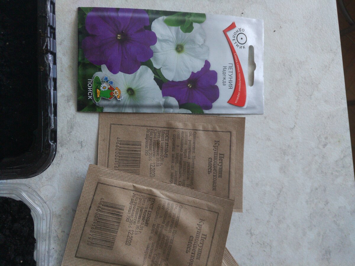 Сеем петунью