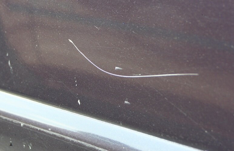 Подпишись на канал и поставь лайк! Ты поможешь развитию канала! Заранее спасибо!