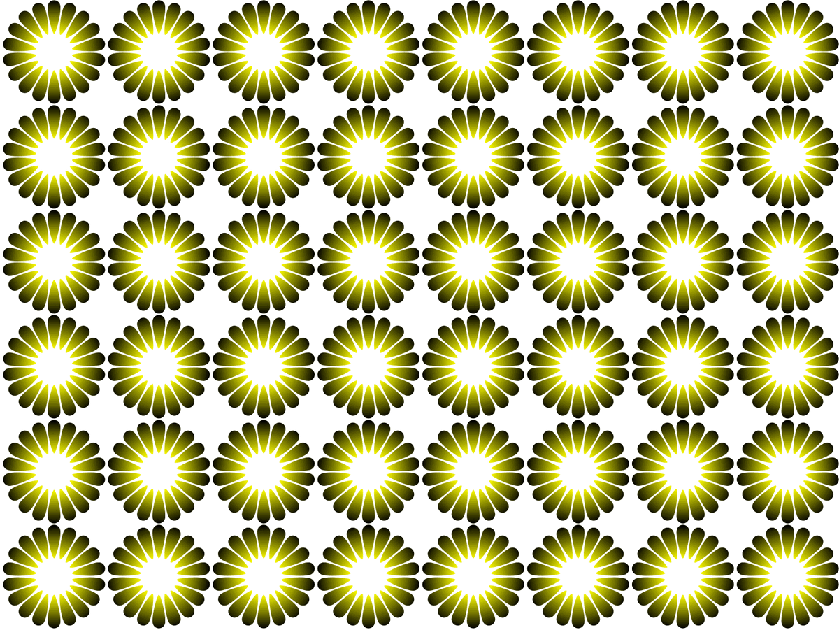 фото с http://www.psy.ritsumei.ac.jp