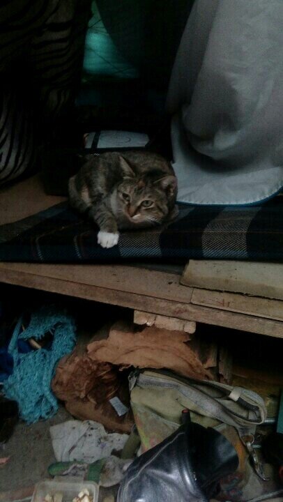 Марфой Васильевной звать. Внутри шалаша